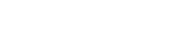 Louis Limited logo